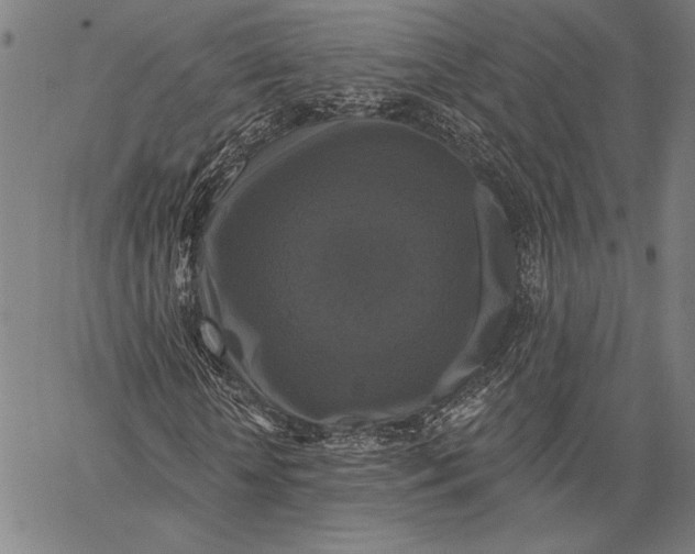 X0000067390818200604211631