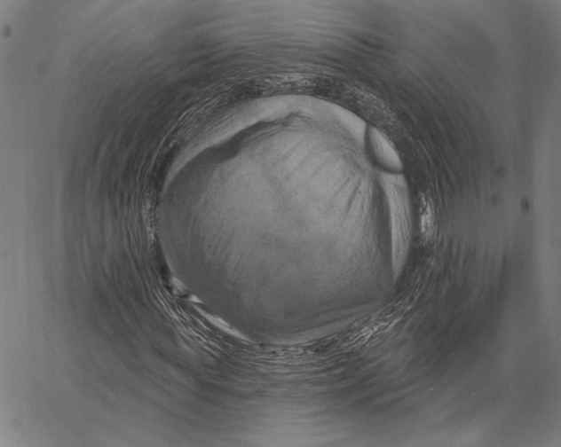 X0000067390819200604211631