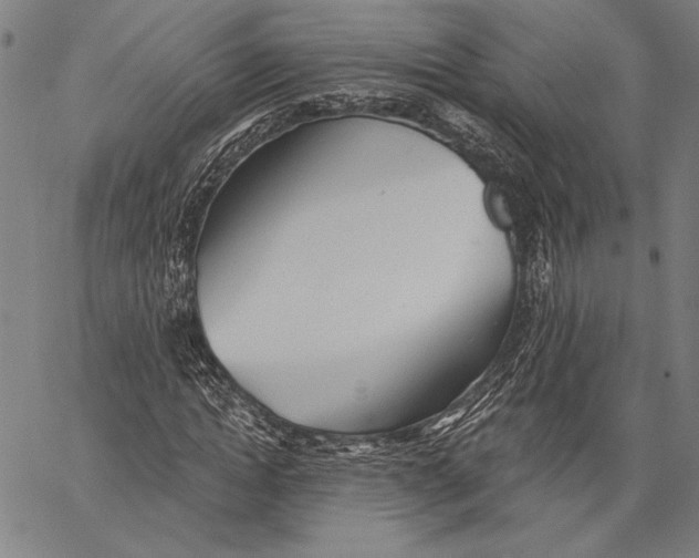 X0000067390822200604211631