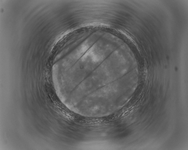 X0000067390823200604211631