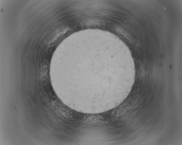 X0000067390824200604211631