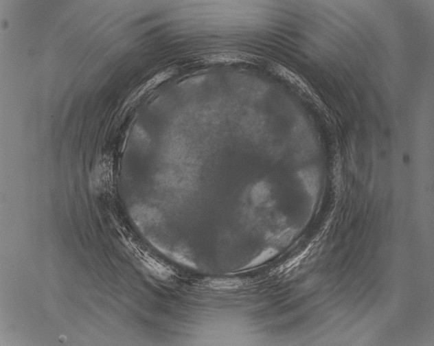 X0000067390825200604211631