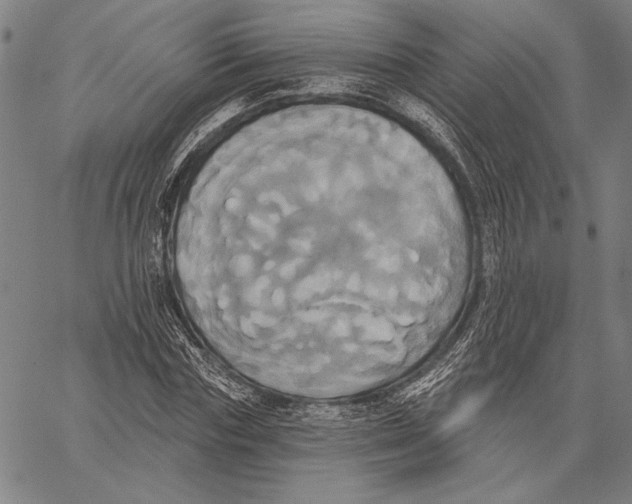 X0000067390827200604211631