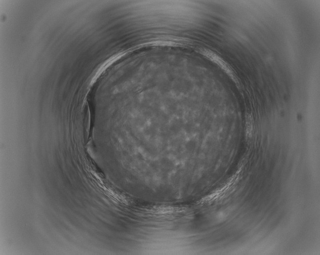 X0000067390829200604211631