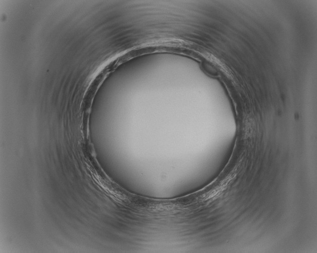 X0000067390830200604211631