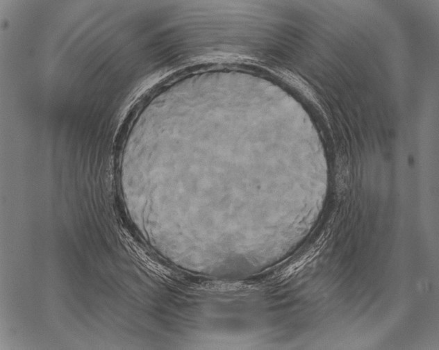 X0000067390831200604211631