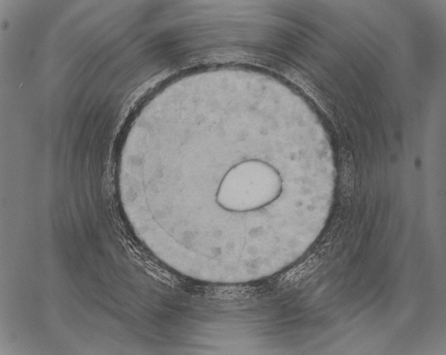 X0000067390832200604211631