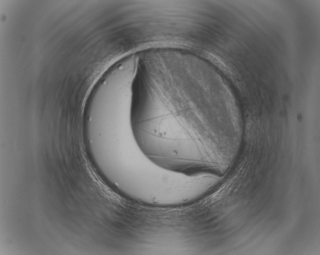 X0000067390836200604211631