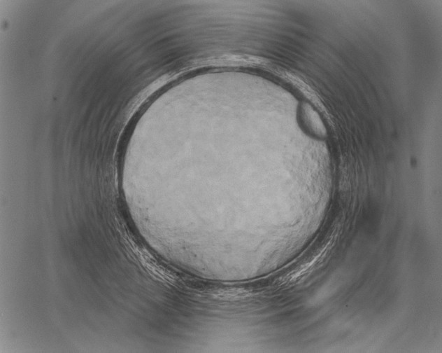 X0000067390837200604211631