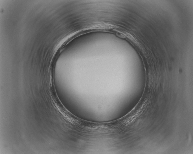 X0000067390838200604211631