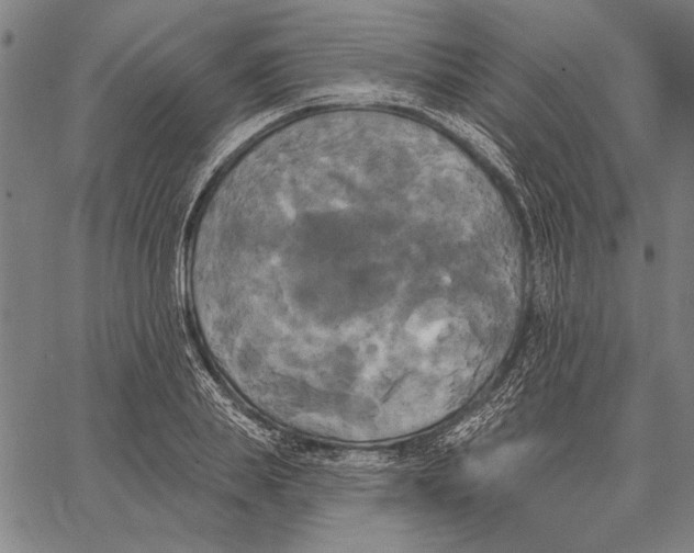 X0000067390839200604211631