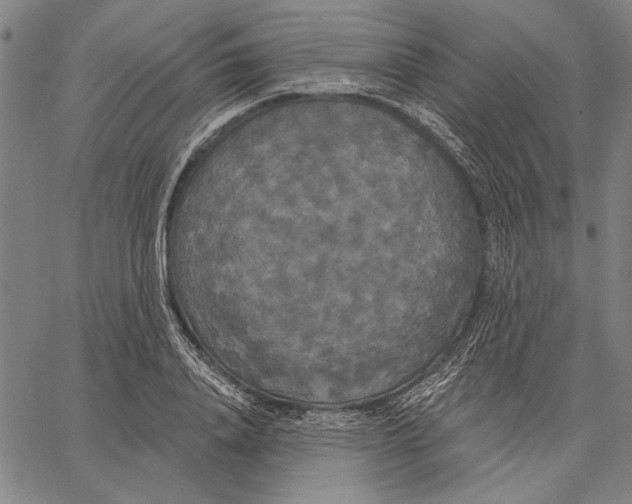 X0000067390840200604211631