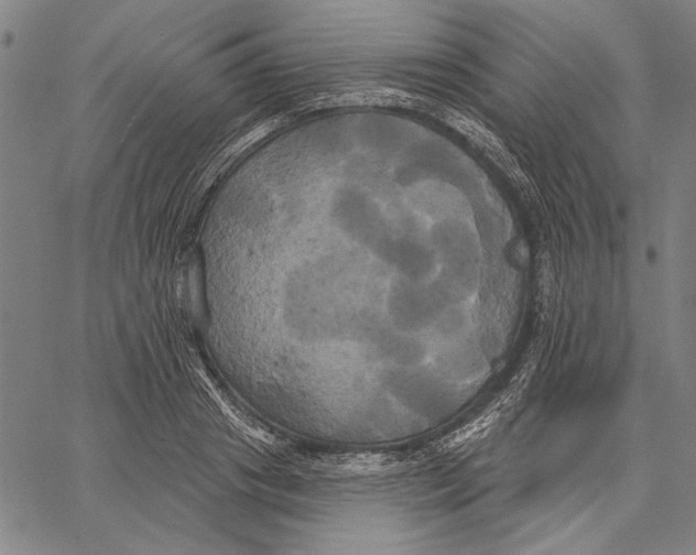 X0000067390841200604211631