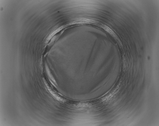 X0000067390842200604211631