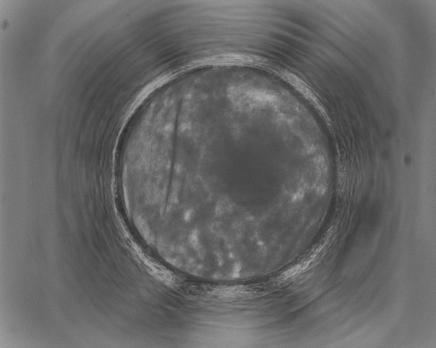 X0000067390845200604211631