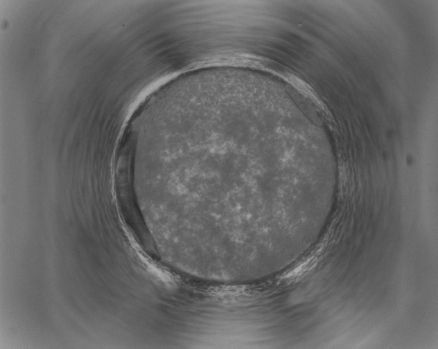 X0000067390846200604211631