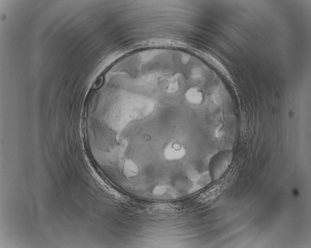 X0000067390847200604211631