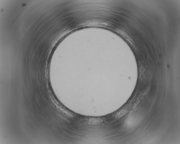 X0000067390848200604211631