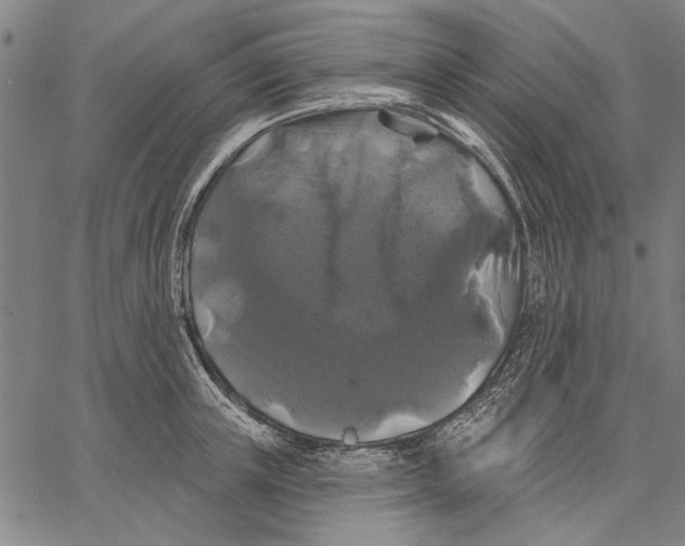 X0000067390851200604211631