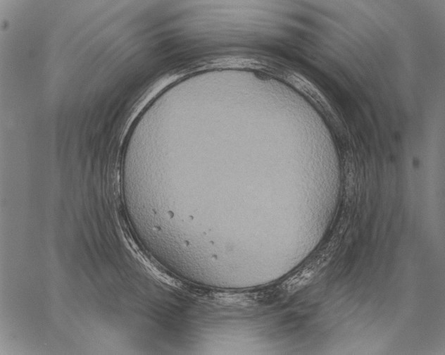 X0000067390852200604211631