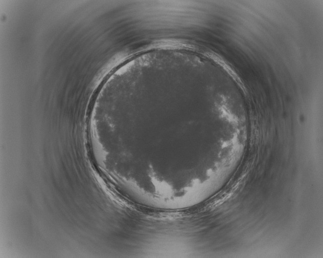 X0000067390853200604211631