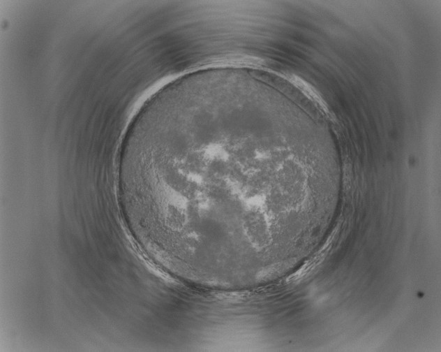 X0000067390854200604211631