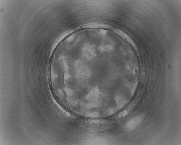 X0000067390855200604211632