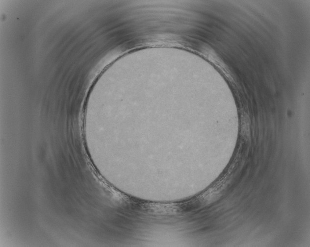 X0000067390856200604211632