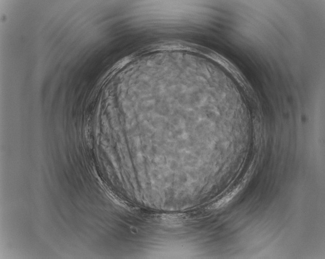 X0000067390857200604211632