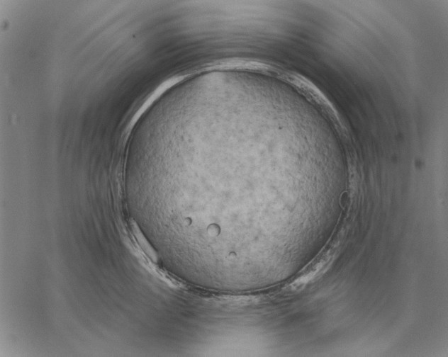 X0000067390860200604211632