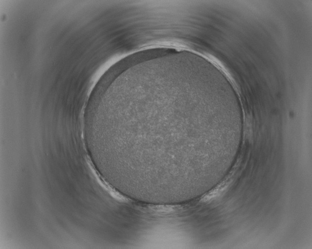 X0000067390862200604211632