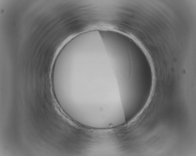 X0000067390864200604211632