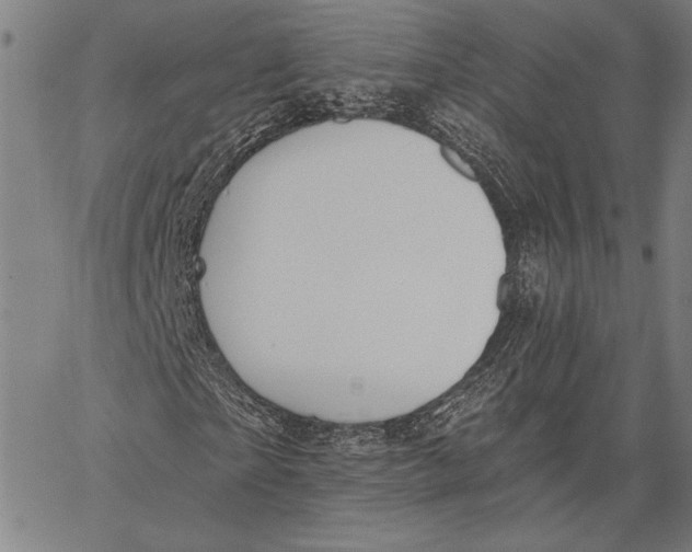 X0000067390865200604211631