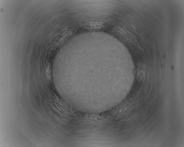 X0000067390866200604211631