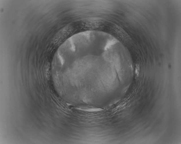 X0000067390867200604211631