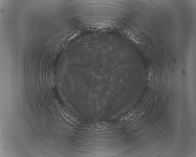 X0000067390868200604211631