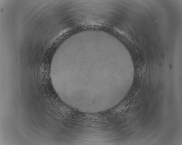 X0000067390870200604211631