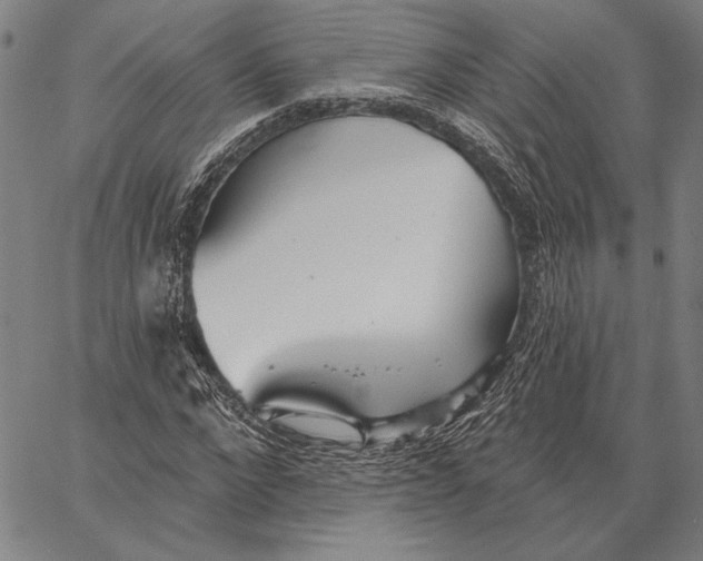 X0000067390872200604211631