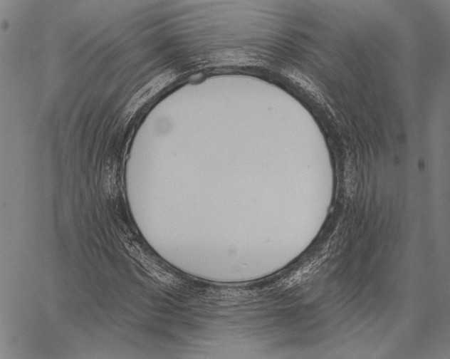 X0000067390873200604211631