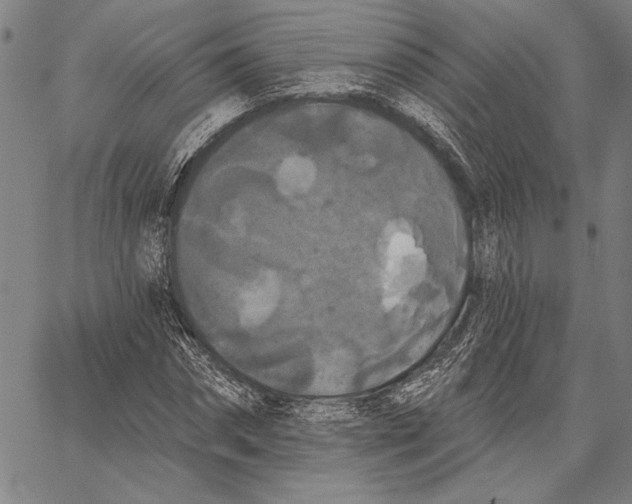 X0000067390874200604211631