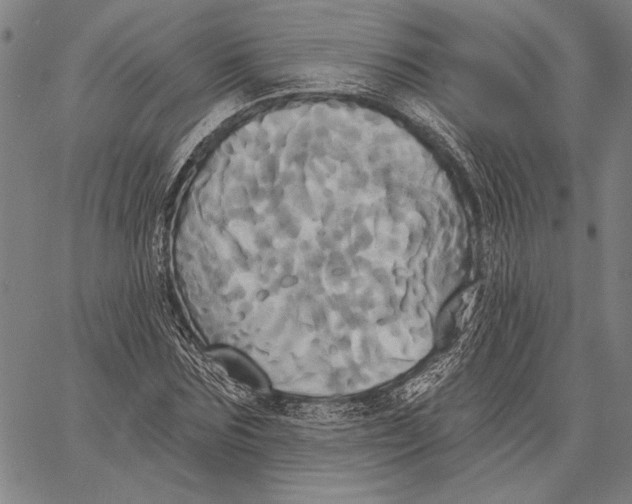 X0000067390875200604211631