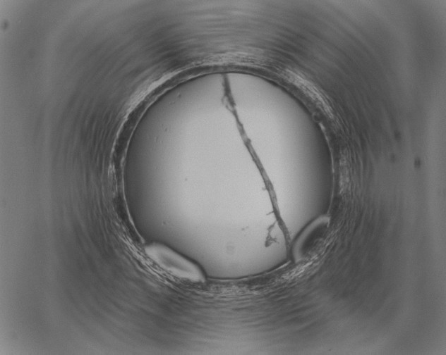 X0000067390876200604211631