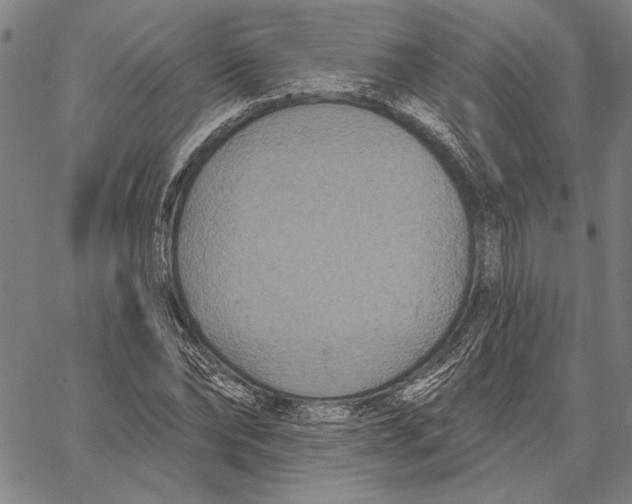 X0000067390878200604211631