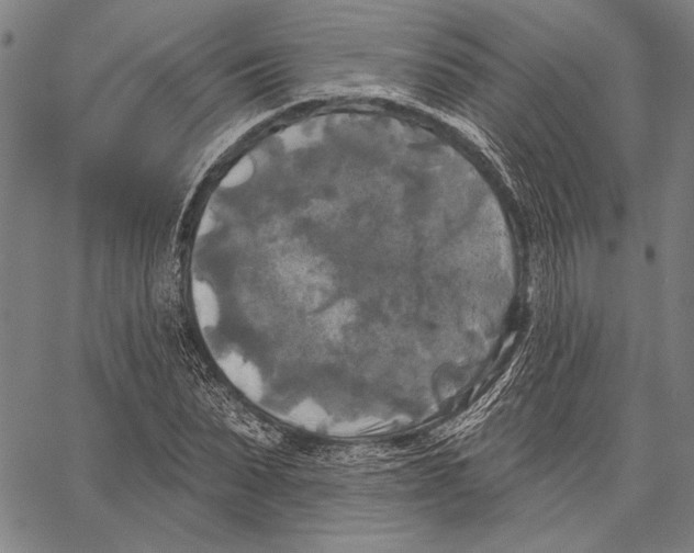 X0000067390879200604211631