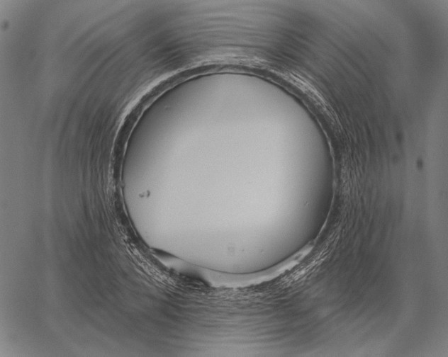 X0000067390880200604211631