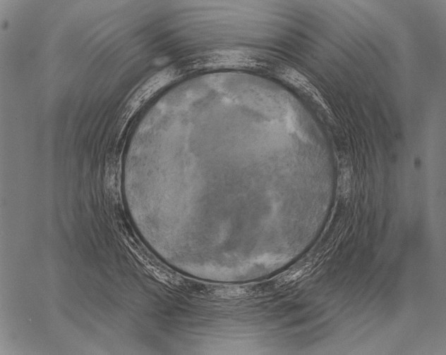 X0000067390882200604211631