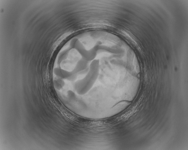 X0000067390883200604211631