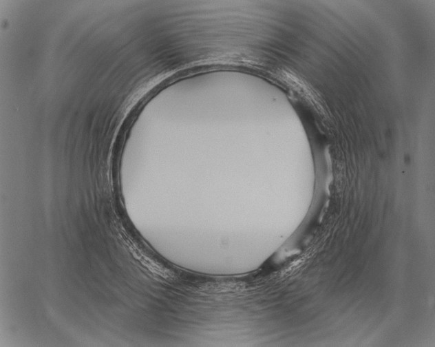 X0000067390884200604211631