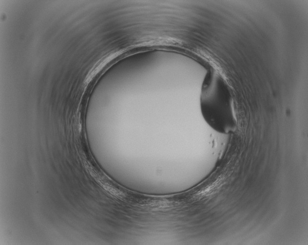 X0000067390885200604211631