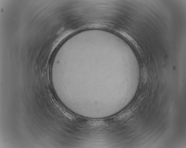 X0000067390886200604211631